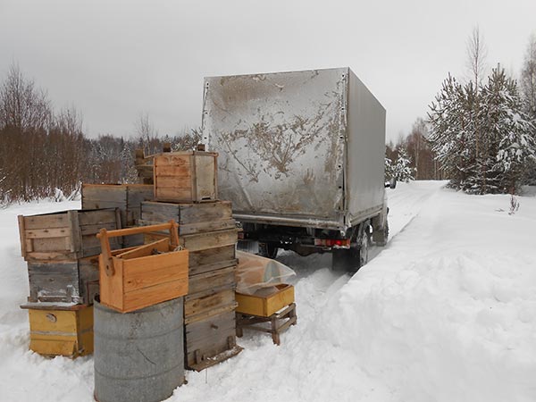 Пасека на дороге