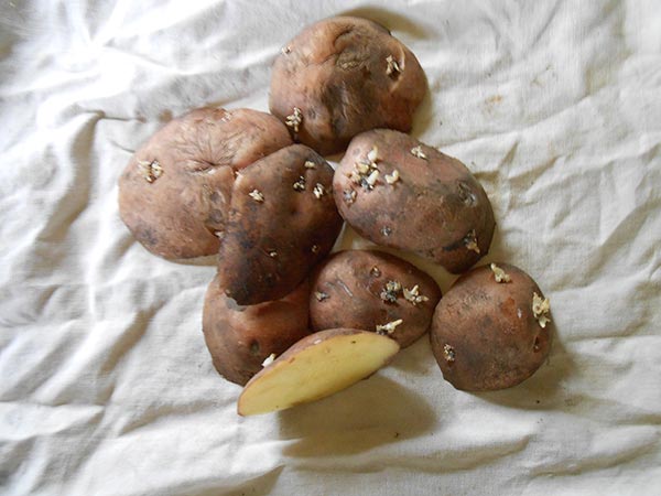 Очистки