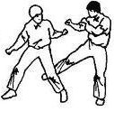 Косой удар ногой