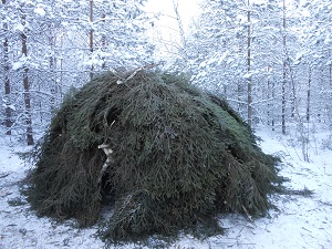 Шалаш